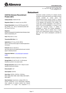 COX7A2 (Human) Recombinant Protein (Q01)