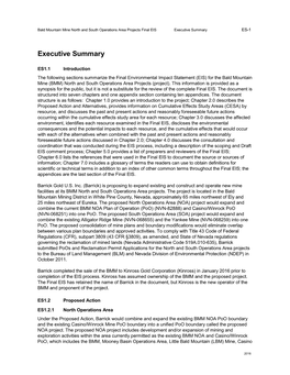 Bald Mountain Mine North and South Operations Area Projects Final EIS Executive Summary ES-1