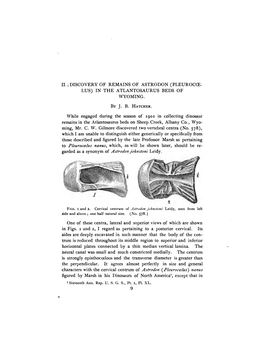 Discovery of Remains of Astrodon (Pleurocce- Lus) in the Atlantosaurus Beds of Wyoming