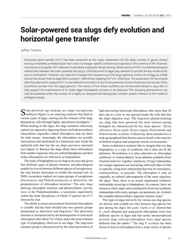 Solar-Powered Sea Slugs Defy Evolution and Horizontal Gene Transfer