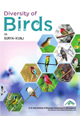 Diversity of Birds in Surya Kunj