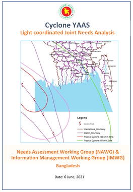 Cyclone YAAS Light Coordinated Joint Needs Analysis