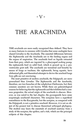 The Arachnida