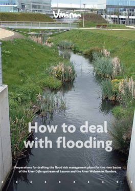 How to Deal with Flooding