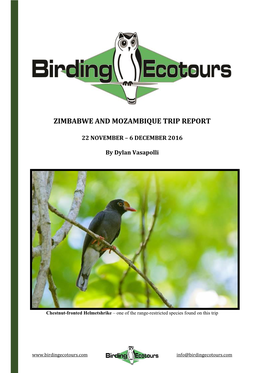 Zimbabwe and Mozambique Trip Report