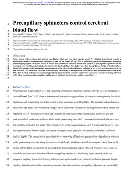 Precapillary Sphincters Control Cerebral Blood Flow