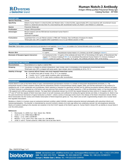 Human Notch-3 Antibody Antigen Affinity-Purified Polyclonal Sheep Igg Catalog Number: AF1559