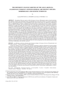 (Osteoglossidae) Are Distinct Species: Morphologic and Genetic Evidences