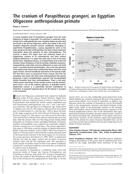 The Cranium of Parapithecus Grangeri, an Egyptian Oligocene Anthropoidean Primate