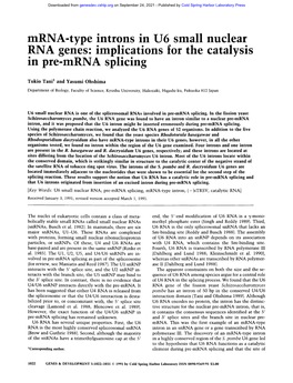 Mrna-Type Introns in U6 Small Nuclear RNA Genes: Implications for the Catalysis in Pre-Mrna Splicing