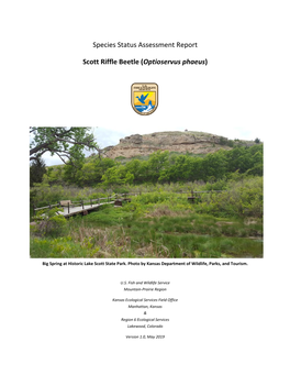 Species Status Assessment Report Scott Riffle Beetle (Optioservus