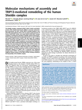 Molecular Mechanisms of Assembly and TRIP13-Mediated Remodeling of the Human Shieldin Complex
