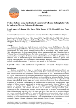 Foliose Lichens Along the Trails of Casaroro Falls and Pulangbato Falls in Valencia, Negros Oriental, Philippines