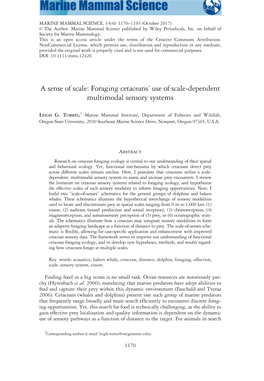 Foraging Cetaceans' Use of Scale‐Dependent Multimodal Sensory