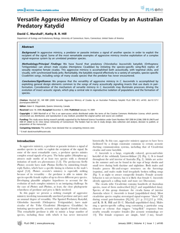 Versatile Aggressive Mimicry of Cicadas by an Australian Predatory Katydid