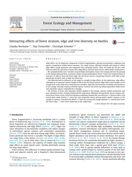 Interacting Effects of Forest Stratum, Edge and Tree Diversity on Beetles