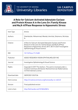 A Role for Calcium-Activated Adenylate Cyclase and Protein Kinase a in the Lens Src Family Kinase and Na,K-Atpase Response to Hyposmotic Stress