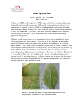 Asian Soybean Rust