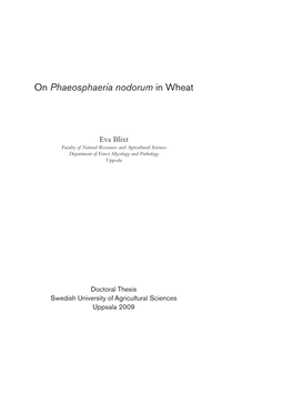 On Phaeosphaeria Nodorum in Wheat