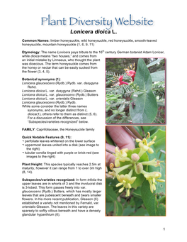 Lonicera Dioica L