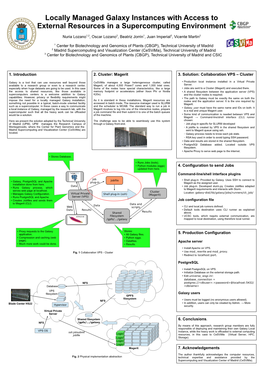 Locally Managed Galaxy Instances with Access to External Resources in a Supercomputing Environment