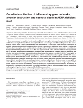 Coordinate Activation of Inflammatory Gene Networks, Alveolar Destruction and Neonatal Death in AKNA Deficient Mice