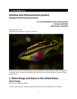Pelvicachromis Pulcher) Ecological Risk Screening Summary