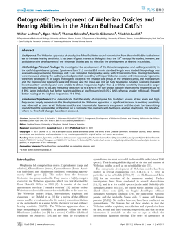 Ontogenetic Development of Weberian Ossicles and Hearing Abilities in the African Bullhead Catfish