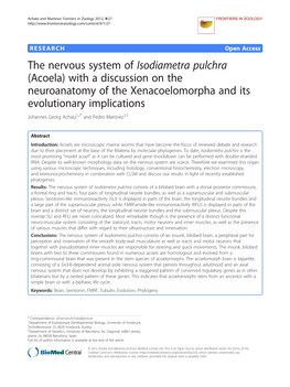 The Nervous System of Isodiametra Pulchra (Acoela) with a Discussion