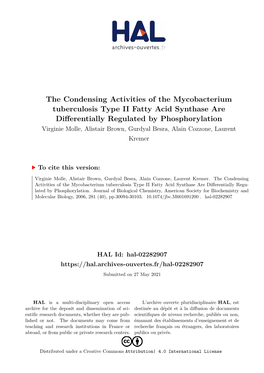 The Condensing Activities of the Mycobacterium Tuberculosis Type II