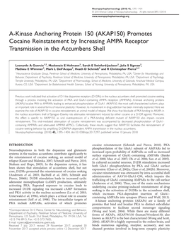 (AKAP150) Promotes Cocaine Reinstatement by Increasing AMPA Receptor Transmission in the Accumbens Shell