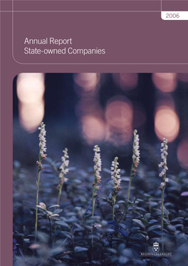 Annual Report State-Owned Companies