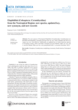 From the Neotropical Region: New Species, Updated Key, New Synonym, and New Records