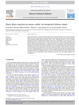 Plastic Debris Ingestion by Marine Catfish: an Unexpected Fisheries Impact