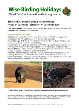 SRI LANKA: Endemic Birds, Bears and Whales Friday 4Th December - Saturday 19Th December 2015