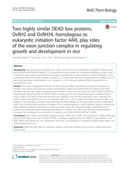 Two Highly Similar DEAD Box Proteins, Osrh2 and Osrh34