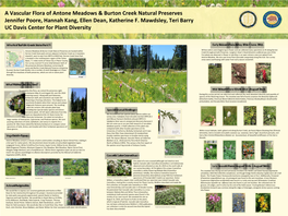 A Vascular Flora of Antone Meadow and Burton Creek Natural