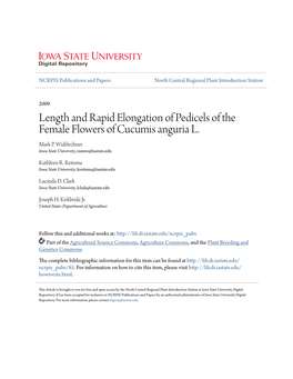 Length and Rapid Elongation of Pedicels of the Female Flowers of Cucumis Anguria L. Mark P