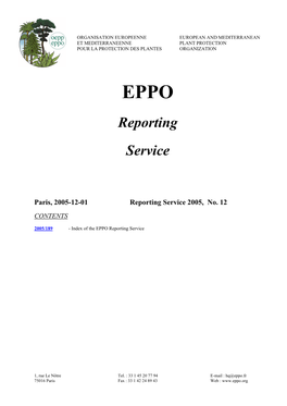 Reporting Service 2005, No