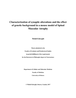 Characterization of Synaptic Alterations and the Effect of Genetic Background in a Mouse Model of Spinal Muscular Atrophy