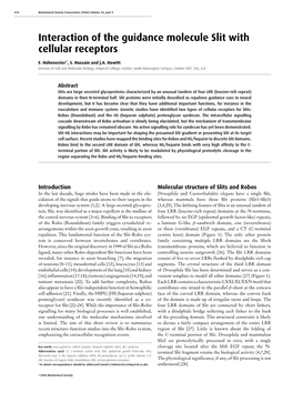 Interaction of the Guidance Molecule Slit with Cellular Receptors