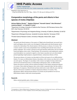 Comparative Morphology of the Penis and Clitoris in Four Species of Moles (Talpidae)