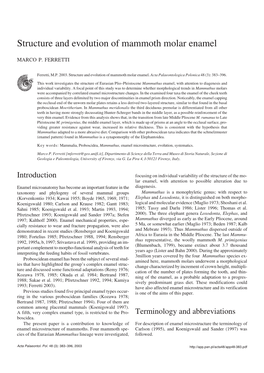 Structure and Evolution of Mammoth Molar Enamel