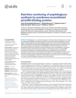 Real-Time Monitoring of Peptidoglycan Synthesis by Membrane