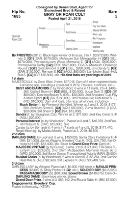 GRAY OR ROAN COLT Barn 5 Hip No. 1685