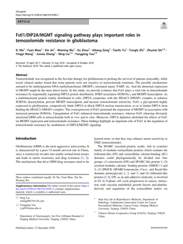 Fstl1/DIP2A/MGMT Signaling Pathway Plays Important Roles in Temozolomide Resistance in Glioblastoma