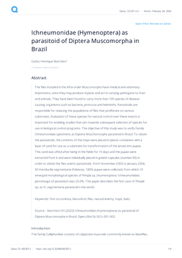 Ichneumonidae (Hymenoptera) As Parasitoid of Diptera Muscomorpha in Brazil