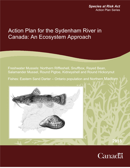 Action Plan for the Sydenham River in Canada: an Ecosystem Approach