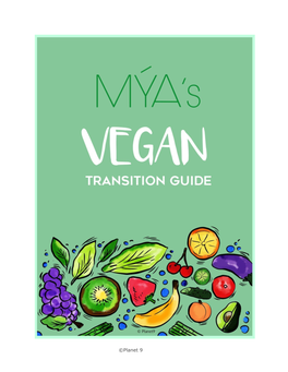 Vegan Transition Guide for Any Person Who May Need Help in Navigating the Vegan World