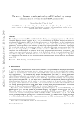 The Synergy Between Protein Positioning and DNA Elasticity